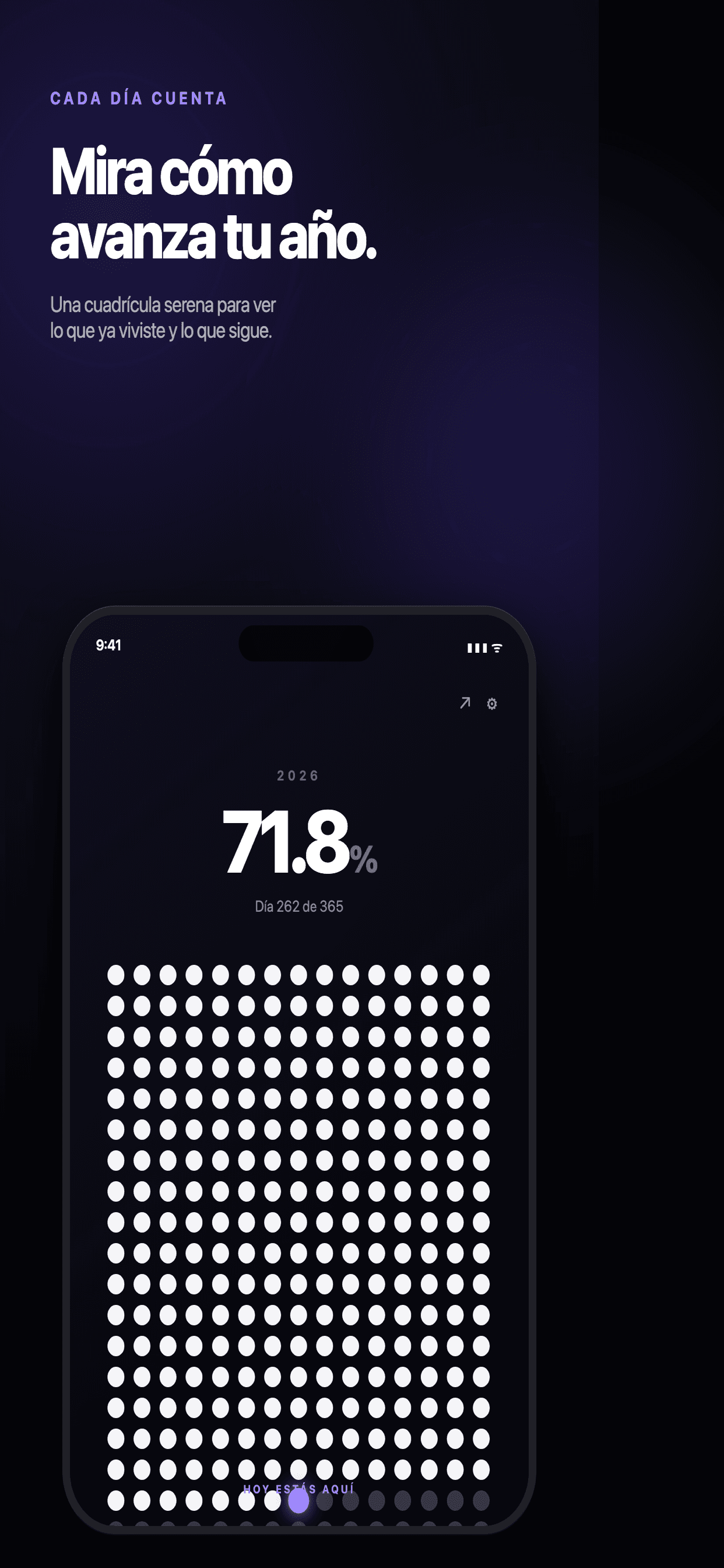 YearDots — See your progress